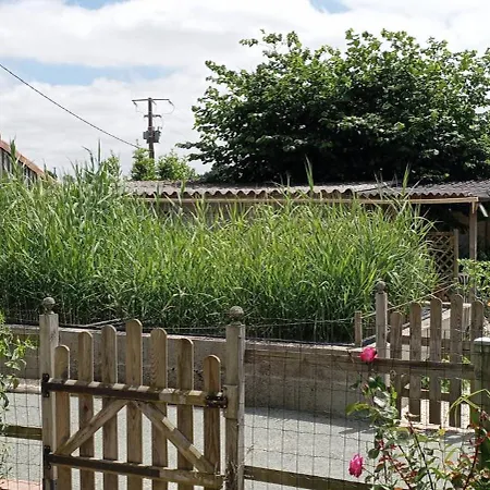 Les Charmes De Castellariis * Pouzauges